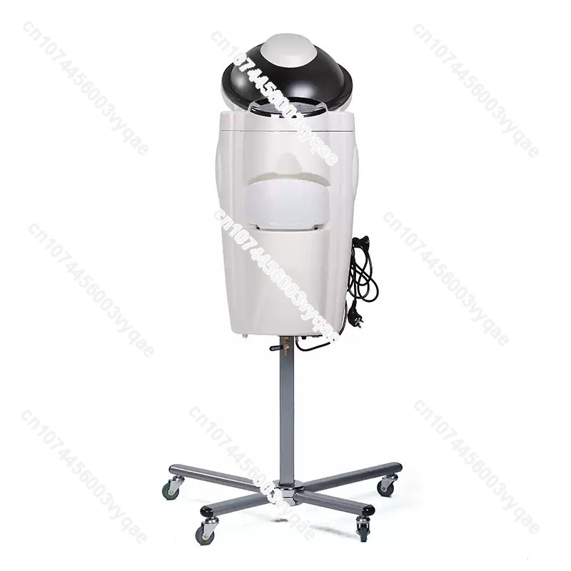 Oil Treatment Ozone Micro Mist - Hair Care In Salon 评论和价格