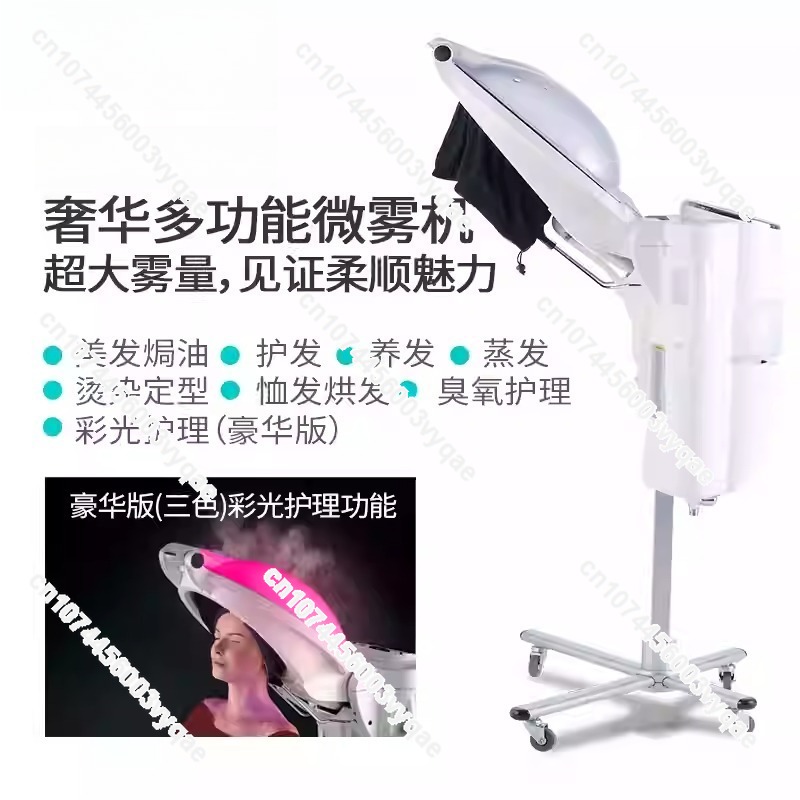 Oil Treatment Ozone Micro Mist - Hair Care In Salon 评论和价格